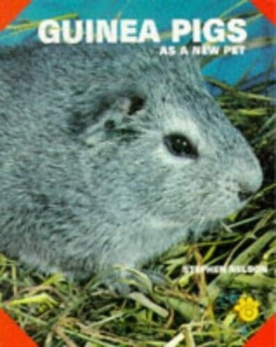 Guinea Pigs as a New Pet, Stephen Nelson