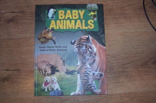Baby Animals by ano