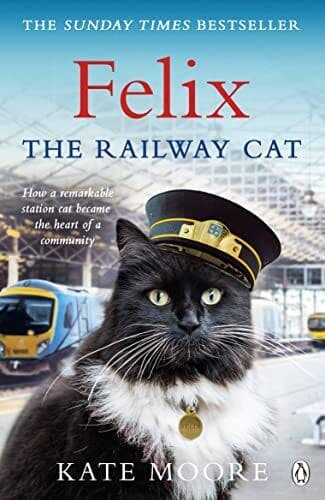 Felix Railway Cat by Moore, Kate