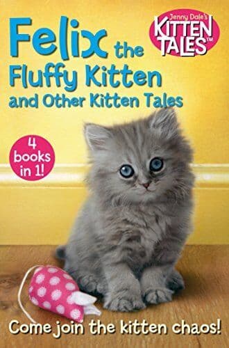 Felix Fluffy Kitten and Other Kitten Tales by Dale, Jenny
