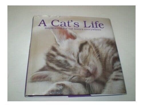 A Cat’s Life inspiration for cat lovers everywhere