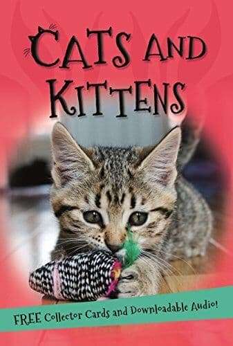 It’s all about… Cats and Kittens by Kingfisher