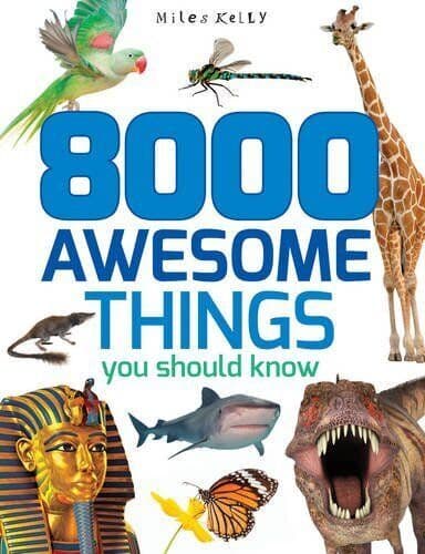 8000 Things You Should Know (512-page fact) by Miles Kelly