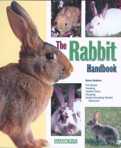 The Rabbit Hand (Pet Hands) by Karen Gendron
