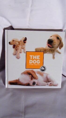 Artlist collection dog