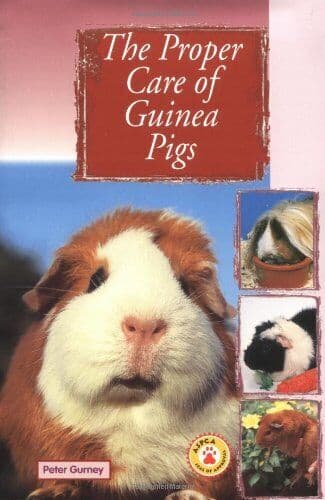 The Proper Care of Guinea Pigs (Proper Care Of…S… by Gurney, Peter