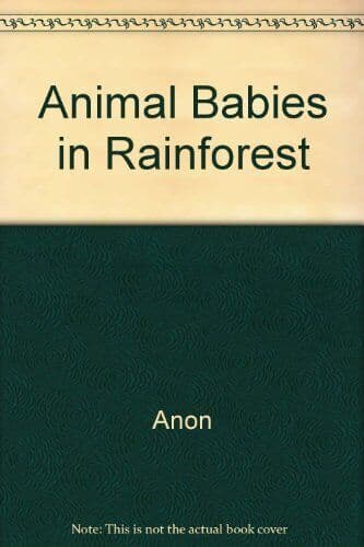 Animal Babies in Rainforest, Anon