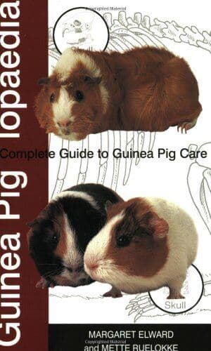 Guinea Piglopaedia: A Complete Guide to Guinea Pigs by Mette Ruelokke