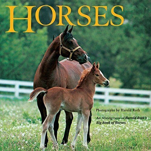 Horses: An Abridgement of Harold Ro…, Driscoll, Laura