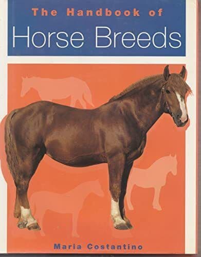 Hand Of Horse Breeds