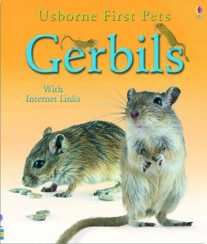 Gerbils (First Pets) by Howell, Laura