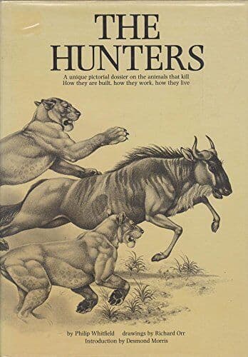 Hunters, by Whitfield, Philip