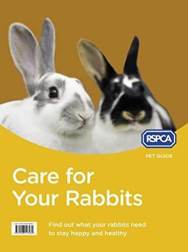 Care for Your Rabbits (RSPCA Pet Guide) by RSPCA