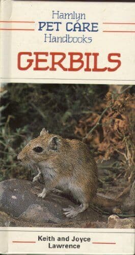 Gerbils (Pet Care Hands)