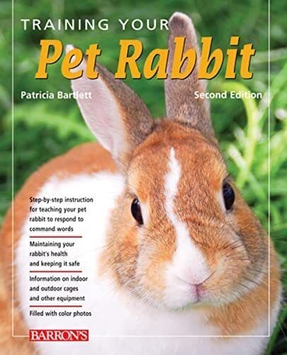 Training Your Pet Rabbit (Training Your Pet Series) by Patricia Bartlett