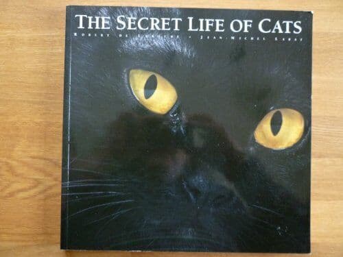 The Secret Life of Cats. by De Laroche, Robert and Jean-Michel Labat.