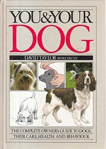 You & Your Dog by David Taylor