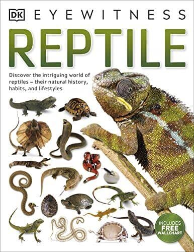 Reptile (DK Eyewitness) by DK