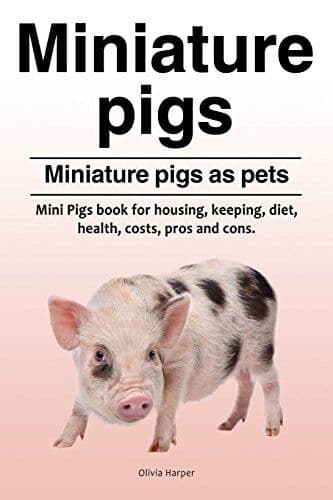 Miniature pigs. Miniature pigs as pe…, Harper, Olivia
