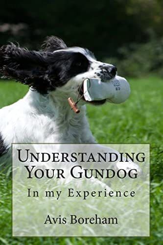 Understanding Your Gundog: In My Ex…, Boreham, Mrs Av