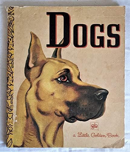 Dogs - A Little Golden