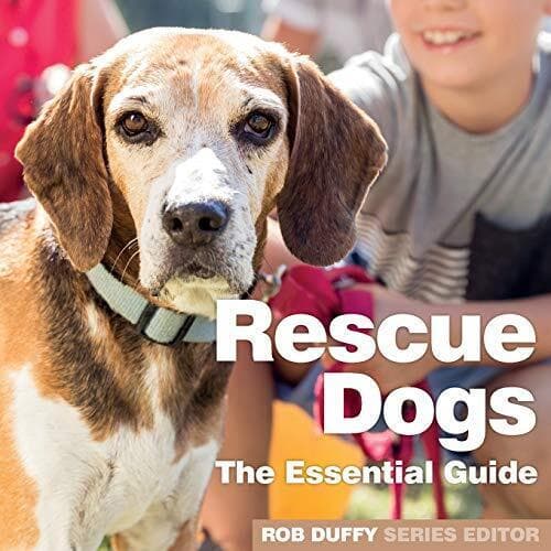 Rescue Dogs: Essential Guide