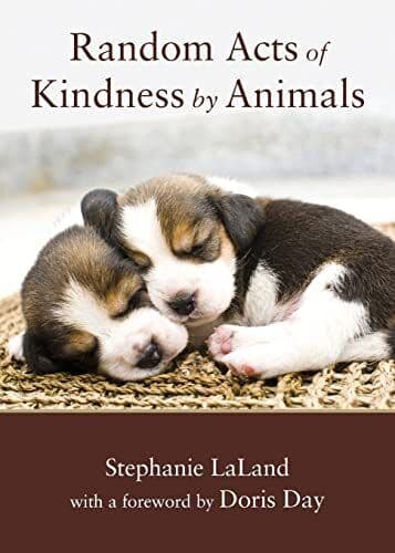 Random Acts Of Kindness By Animals:…, Stephanie Lalan