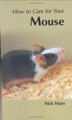 How to Care for Your Mouse (Your first…series) by Nick Mays