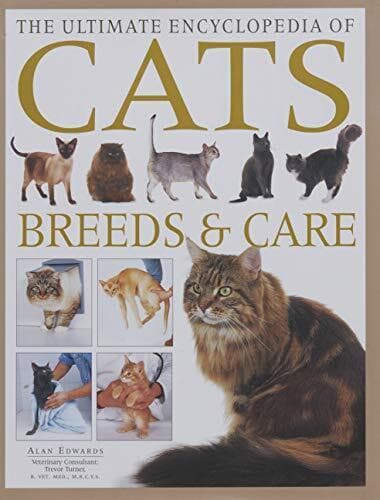 Cat Breeds and Care