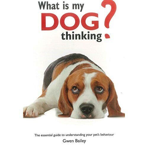 What Is My Dog Thinking? by Bailey  Gwen