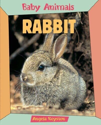 BABY ANIMALS RABBIT by Royston, Angela