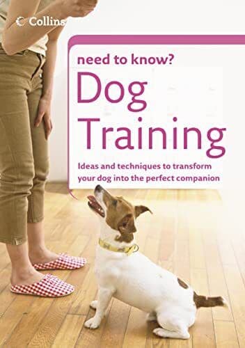 Dog Training (Collins Need to Know?) by Stella Smyth and Sally Bergh-R