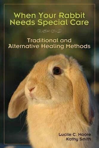 When Your Rabbit Needs Special Care…, Lucile C. Moore