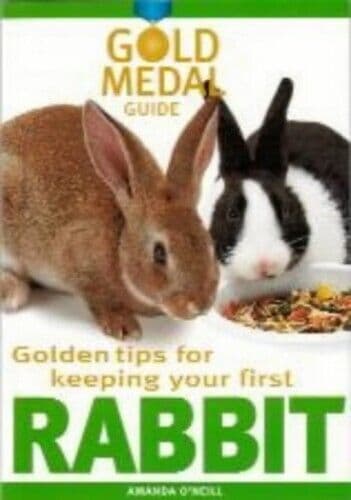 Rabbit (Gold Medal Guide) - Everything you need t… by Amanda O’Neill