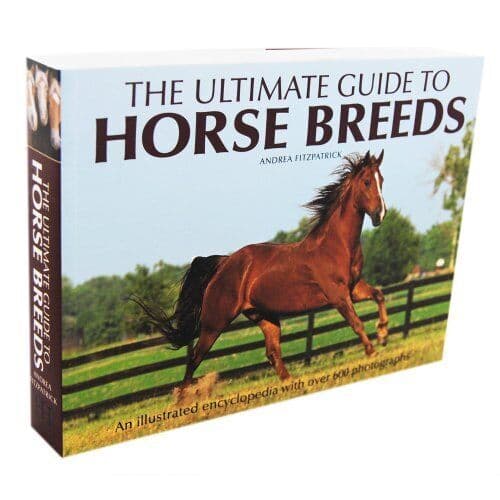 The Ultimate Guide to Horse Breeds