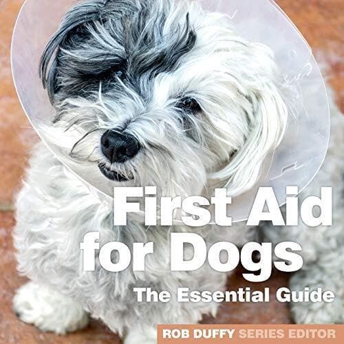 First Aid for Dogs: Essential Guide