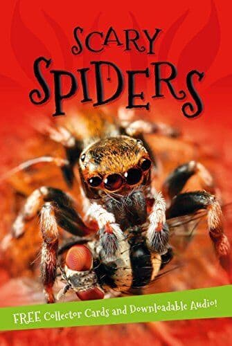 It’s all about… Scary Spiders by Kingfisher