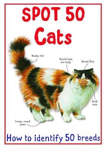 Spot 50 Cats (Spot 50’s) by Camilla de la Bedoyere