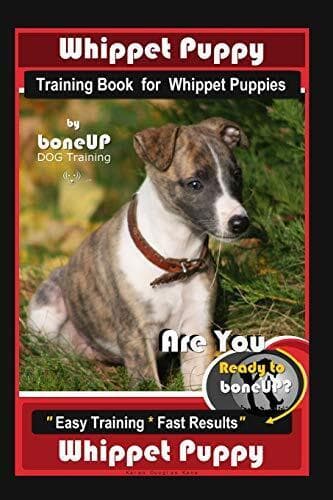 Whippet Puppy Training  for Whi…, Kane, Karen Dou