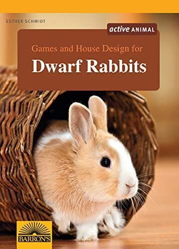 Games and House Design for Dwarf Ra…, Schmidt, Esther