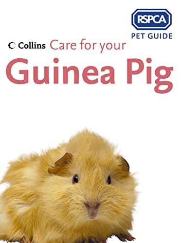 Care for your Guinea Pig (RSPCA Pet Guide) by RSPCA