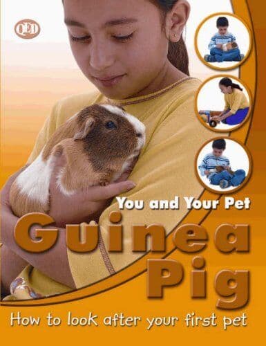 You and Your Pet: Guinea Pig (You and Your Pet S.) by Jean Coppendale
