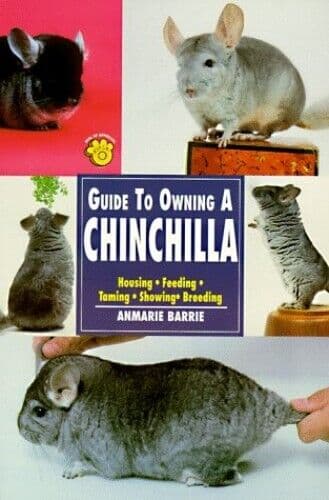 Guide to Owning a Chinchilla by Anmarie Barrie
