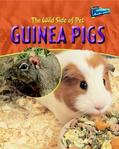 Guinea Pigs (Raintree Perspectives: Wild Side of P… by Jo Waters