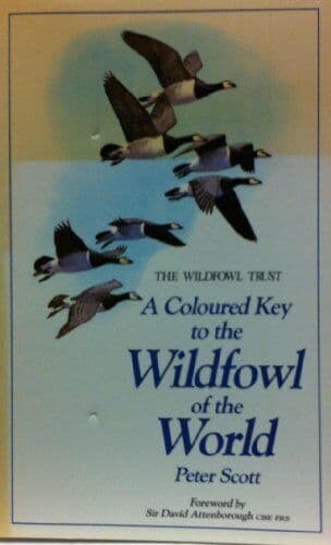 A Coloured Key to Wildfowl of World by Scott, Peter