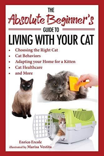 The Absolute Beginner’s Guide to Liv…, Ercole, Enrico