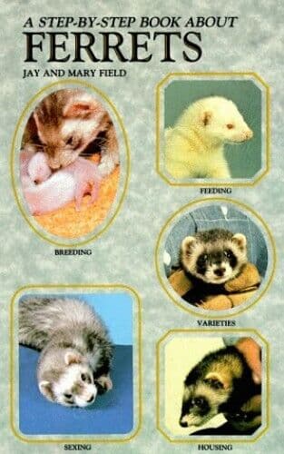 A Step-by-step  About Ferrets by Jay Field 0866224629