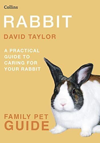 Rabbit (Collins Family Pet Guide) by Taylor, David
