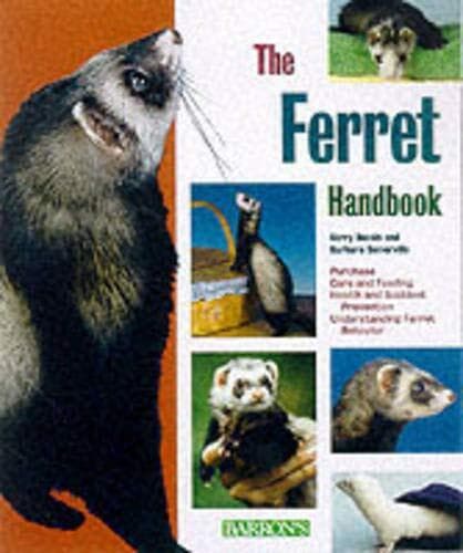 The Ferret Hand (Pet Hands) by Somerville, Barbara