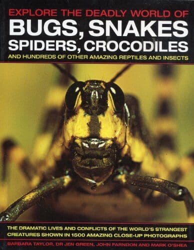 K512 Explore Deadly World Of Bugs Snakes Spiders And Crocodiles
